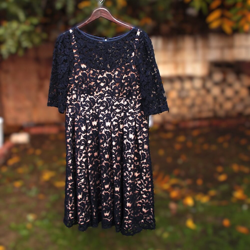 Adrianna Papell Navy Lace Overlay Dress 16